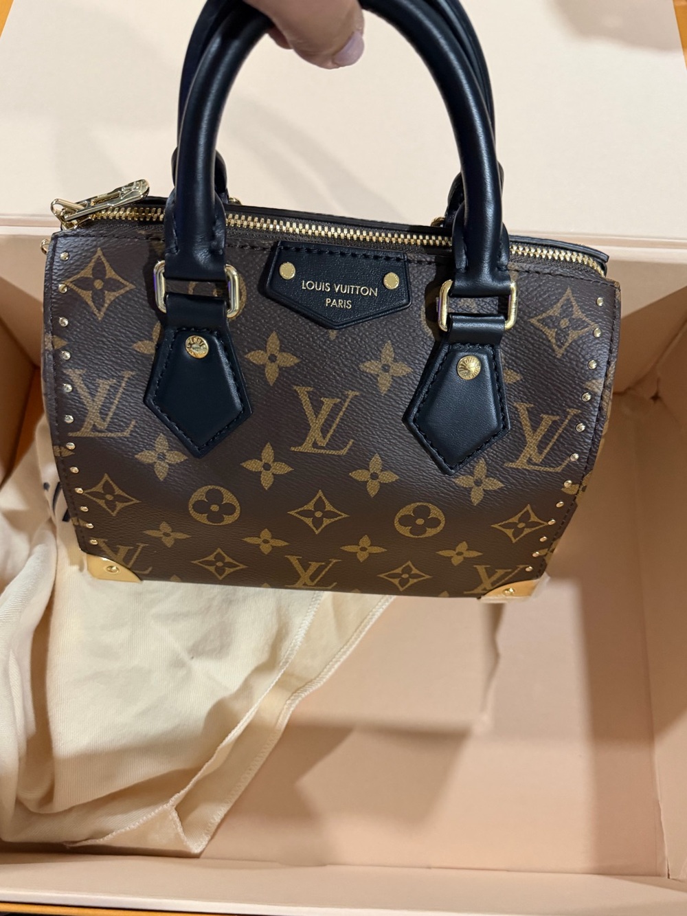 Louis Vuitton speedy trunks 20